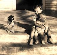 1943 Rat Terrier 