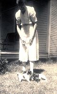 1946 Rat terrier with great-grandma